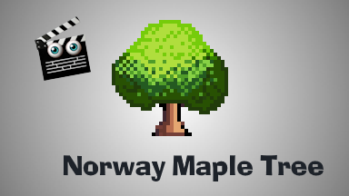 Maple Tree