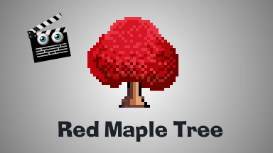 Red Maple Tree