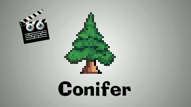 Conifer Tree